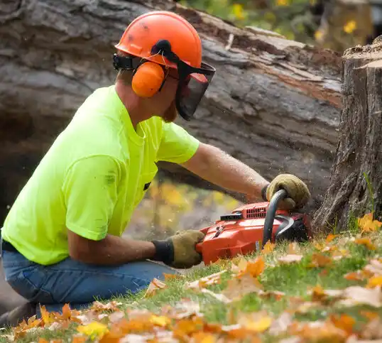 tree services Grove City